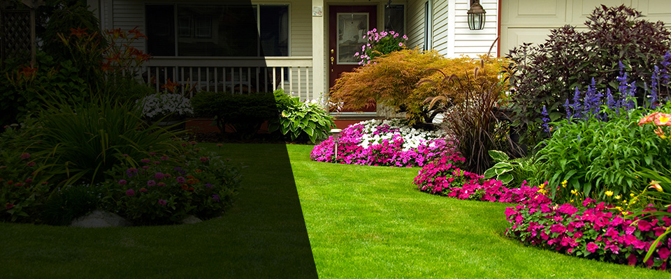Township Of Washington Landscapers