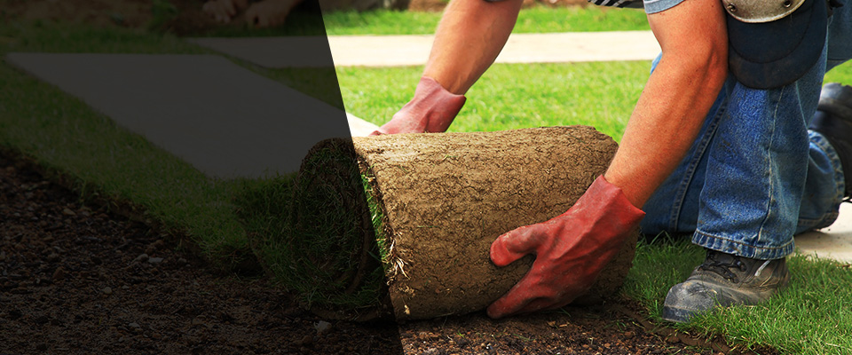 Township Of Washington Landscapers